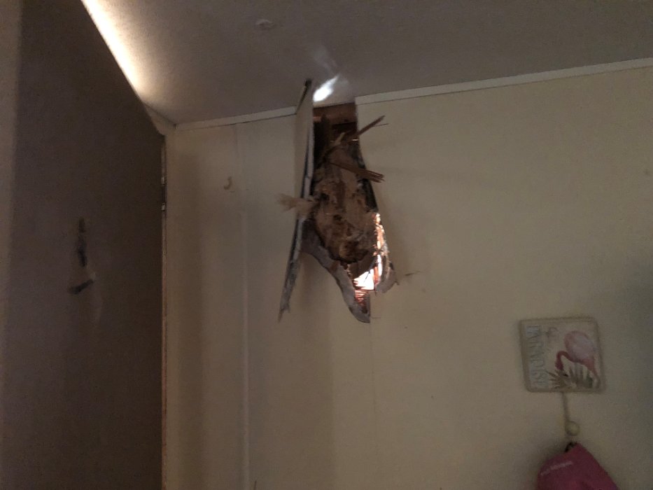 015-Bedroom wall.jpg